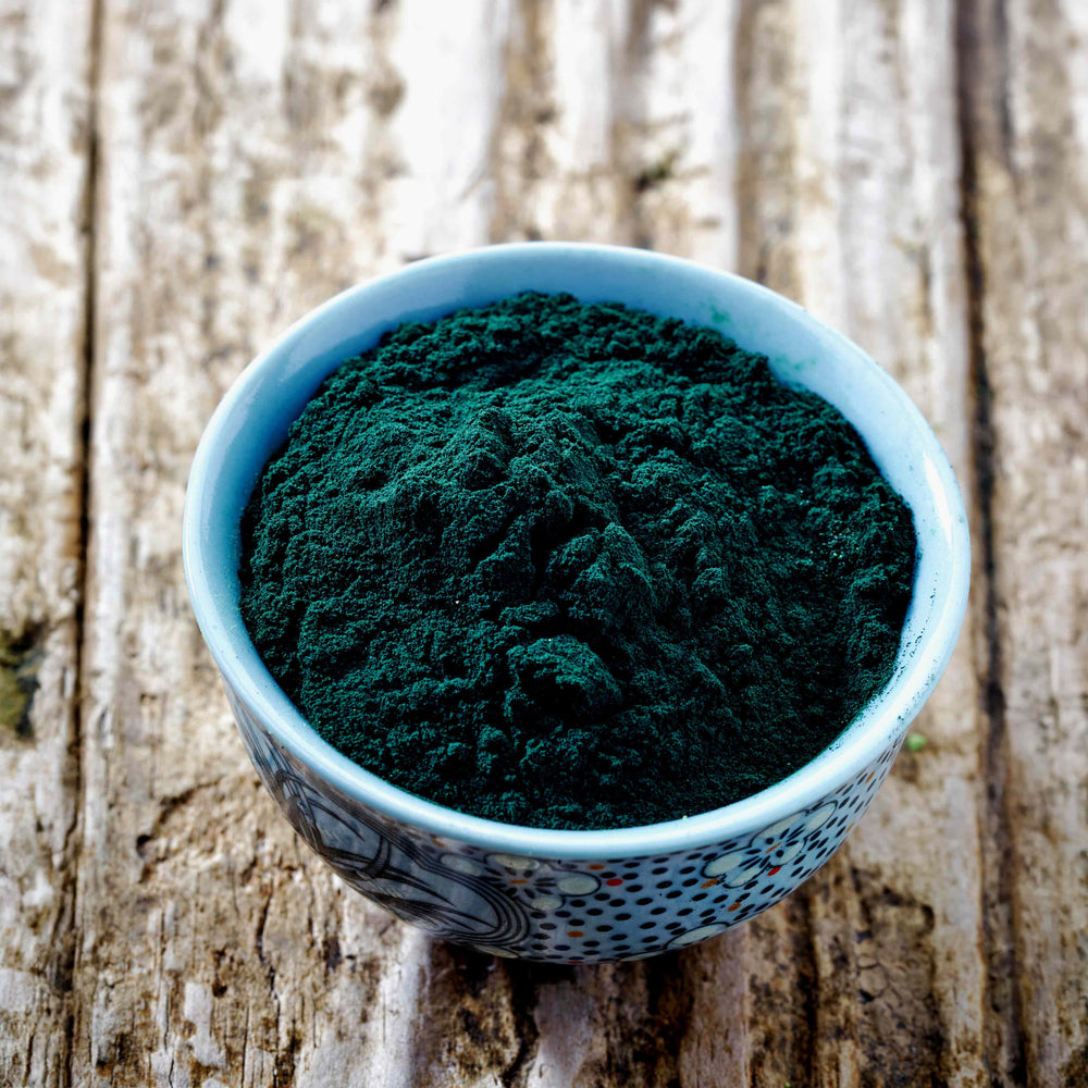 Klamath blue green algae powder hotsell