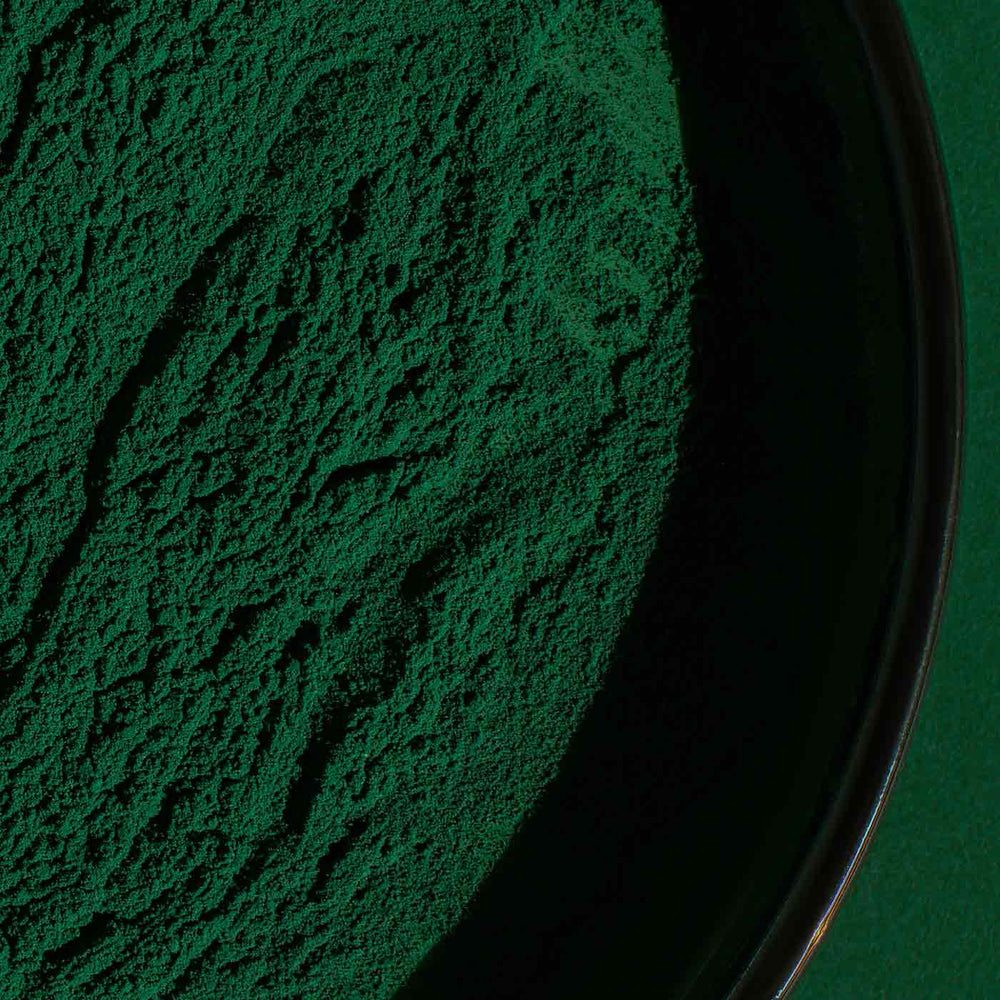 BioActive Blue Green Algae JUICE Powder - Wild Harvested from Klamath Lake - Na'vi Organics