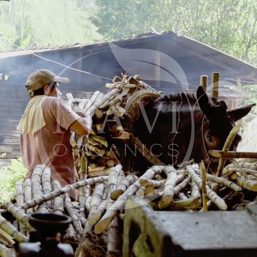 Organic Panela Rapadura Sugar - Natural Unrefined Wholefood - Na'vi Organics