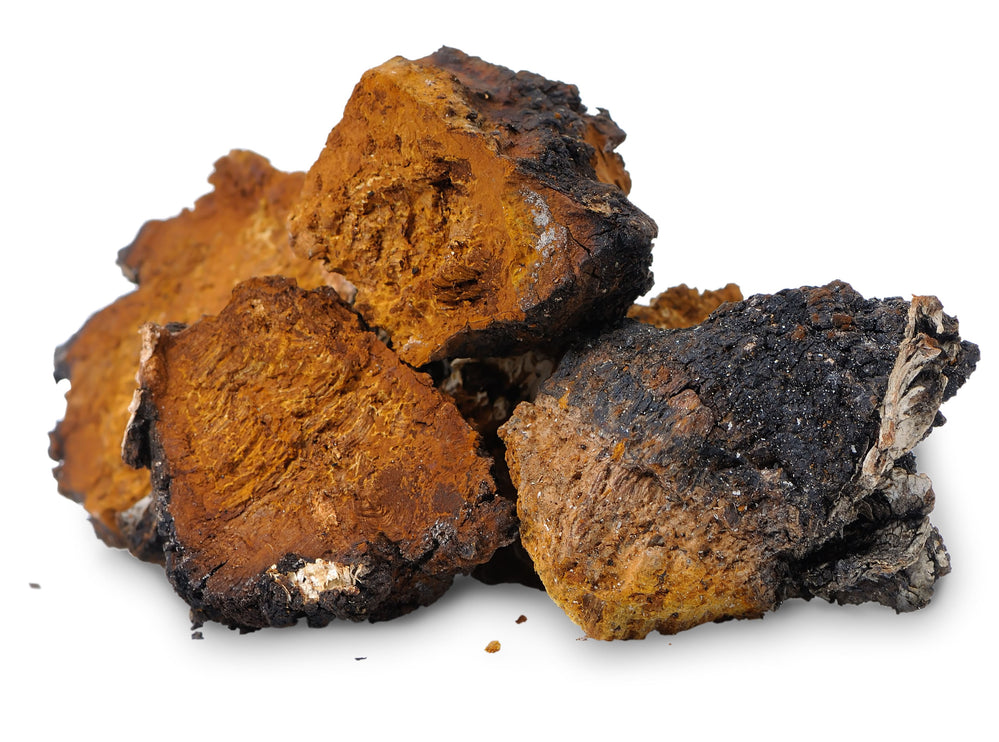 Full Spectrum Chaga Mushroom (Dual Extraction) Extract Powder - Wild Harvested - Na'vi Organics Ltd